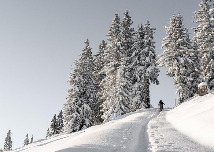 Rellerli Schönried – Rellerli (1833 M.a.s.l) • Ski Touring » outdooractive.com photo