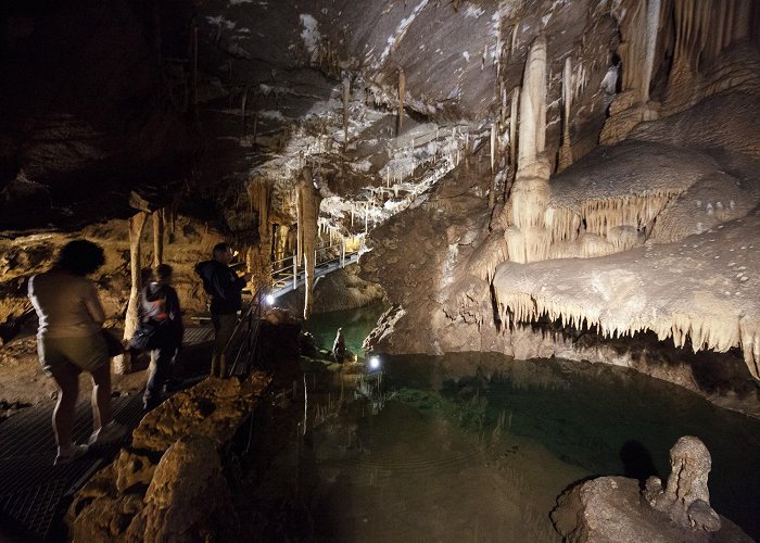 Grotta de Su Mannau Su Mannau | SardegnaTurismo - Sito ufficiale del turismo della ... photo