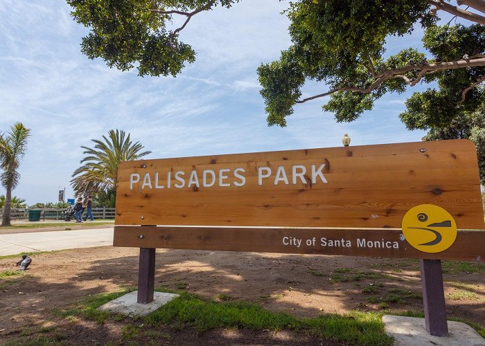Palisades Park Suspect arrested for strangling victim in Santa Monica photo
