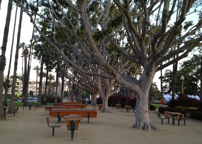 Palisades Park Palisades Park: A Santa Monica Landmark | Discovering L.A. photo