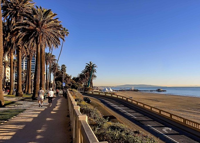 Palisades Park Palisades Park | Things to do in Santa Monica, Los Angeles photo