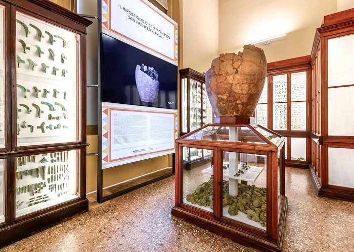 Archaeological Museum Museo Civico Archeologico Bologna, the Civic Archaeological Museum rearranges the ... photo
