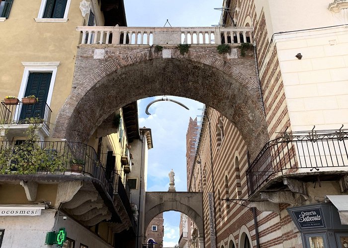 Arco della Costa Arco della Costa (Arch of the Rib) | Food Democracy Museum photo