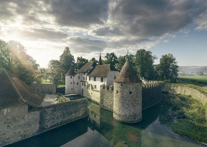 Castle Hallwyl Hallwyl Castle - Where Culture meets Nature - Museum Aargau photo