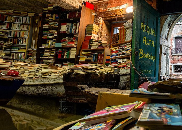 Libraria Aqua Alta The Flooded Bookshop – Lost in the Midlands photo