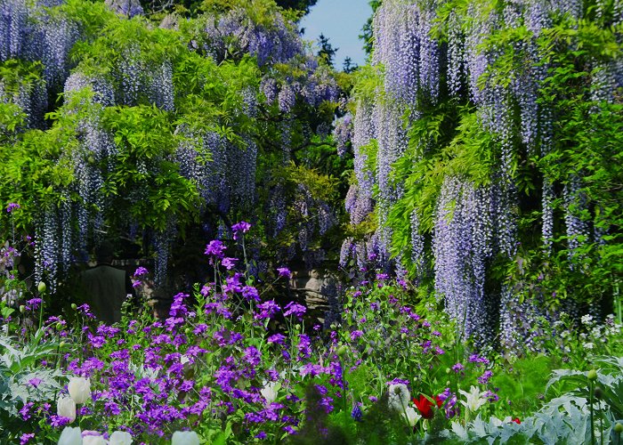 Schau- und Sichtungsgarten Hermannshof e.V. Botanical Garden of Hermannshof in Weinheim photo