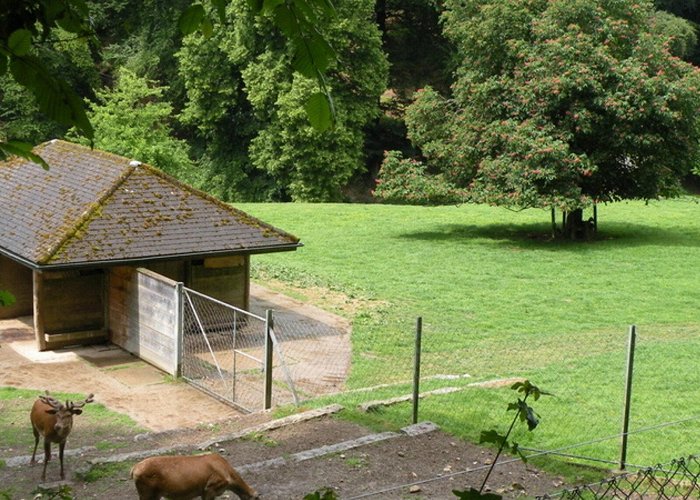 Wildpark Roggenhausen ROLLIAUSFLUG: Wildpark, Roggenhausen photo