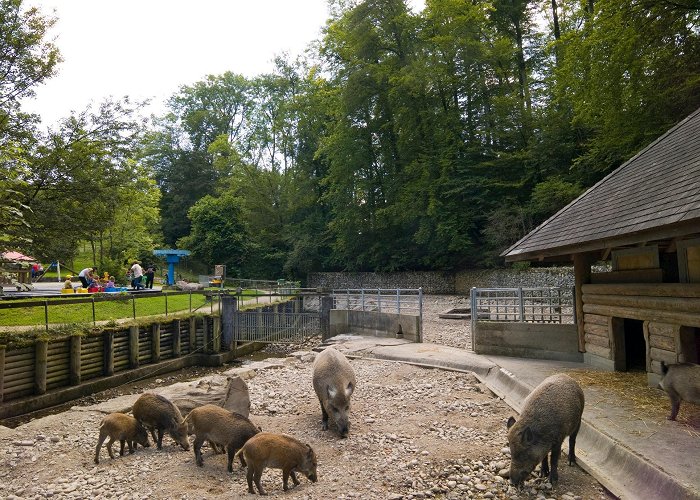 Wildpark Roggenhausen Auf dem Planetenweg zum Wildpark Roggenhausen • Wanderung » Aargau ... photo