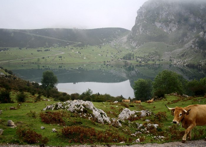 Lakes of Covadonga Things to Do in Cangas de Onis in 2024 | Expedia photo
