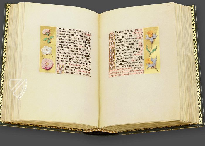 Biblioteca Nazionale Vittorio Emanuele III La Flora Book of Hours - Ziereis Facsimiles photo