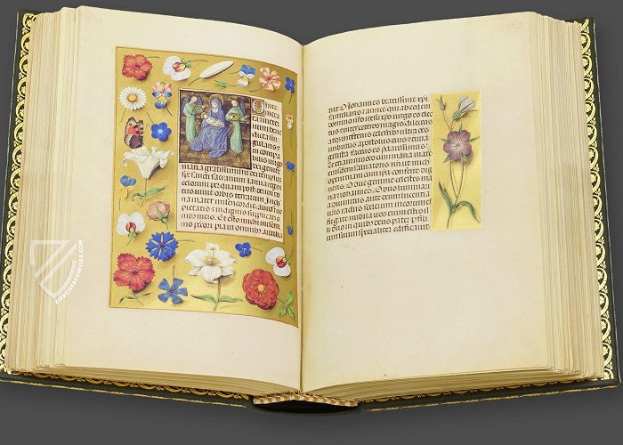 Biblioteca Nazionale Vittorio Emanuele III La Flora Book of Hours - Ziereis Facsimiles photo