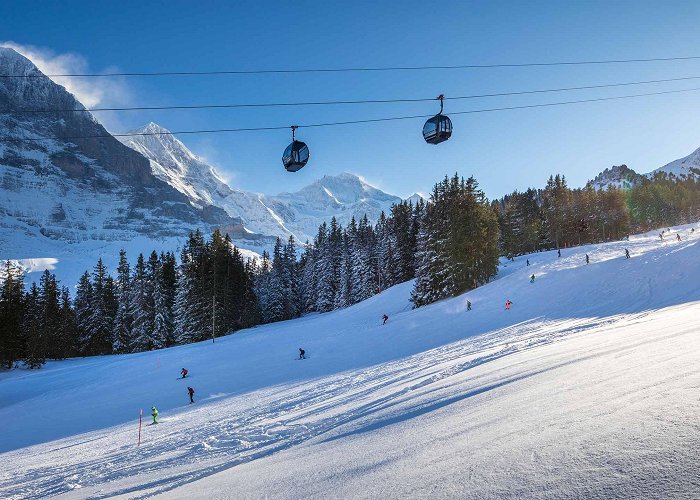 Männlichen Grindelwald-Männlichen GGM Gondola Cable Car photo