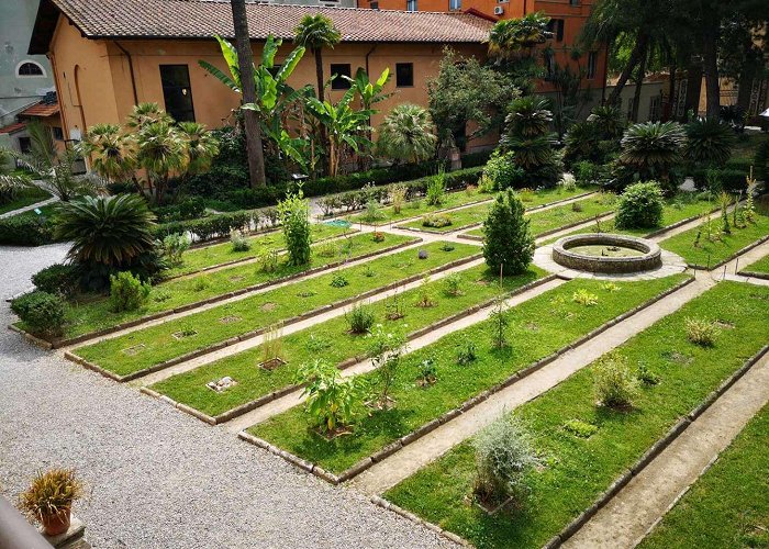 Botanical Gardens of Pisa Visiting Orto Botanico di Pisa - A Guide to Pisa's Botanical ... photo