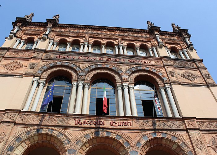 Natural History Museum Museo Civico Di Vignola in Milan: 3 reviews and 17 photos photo
