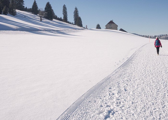 Lake des Tailleres Chemin des Taillères | Switzerland Tourism photo