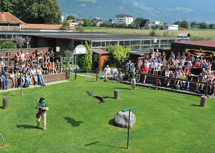 Greifvogelpark Buchs Greifvogelpark Buchs | Famigros photo