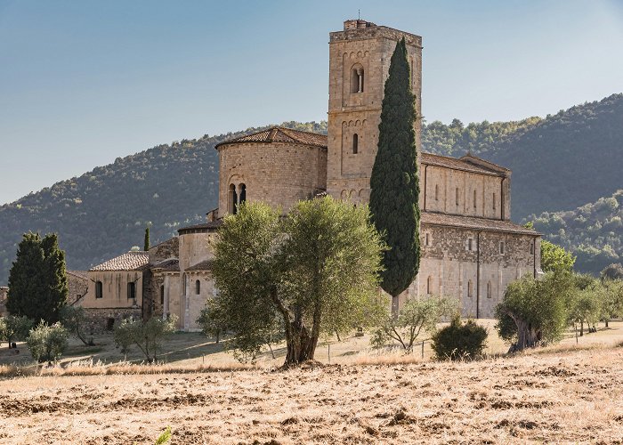 Abbey of Sant'Antimo Abbey of Sant'Antimo: Skip The Line photo