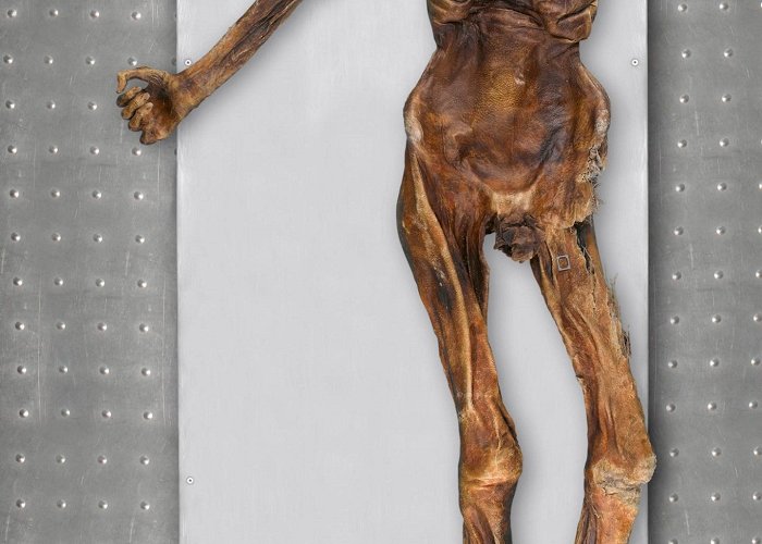 South Tyrol Museum of Archaeology Fresh look at DNA from Oetzi the Iceman traces his roots to ... photo