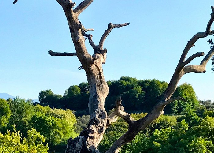 Natural springs of Bagnaccio Visit Baschi: 2024 Travel Guide for Baschi, Umbria | Expedia photo