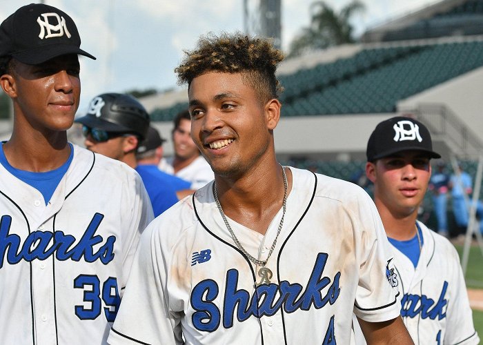Miami Dade College MDC Baseball Shortstop Raphy Almanzar Named 2019 Spalding NJCAA DI ... photo