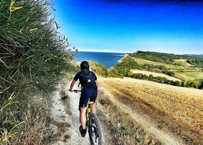 Parco Naturale Monte San Bartolo Via Panoramica – Bike Tours, Noleggio Bici, Viaggi in Bicicletta photo