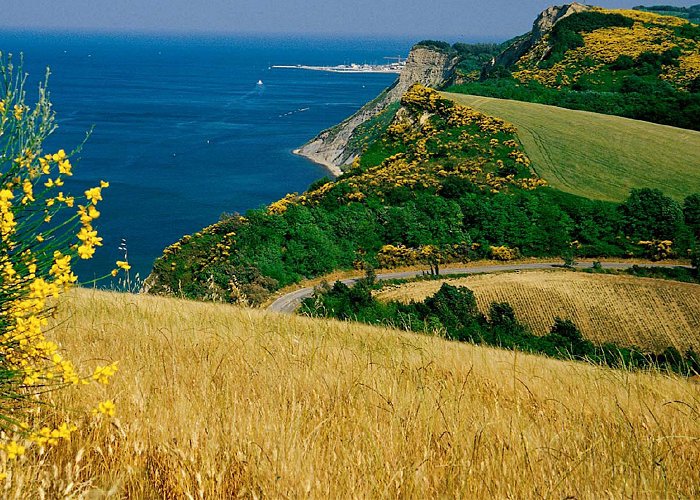 Parco Naturale Monte San Bartolo Parco naturale regionale del Monte San Bartolo - Casa Tentoni Bed ... photo