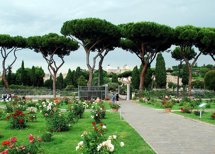 Municipal Rose Garden Roseto Comunale Rome's Historic Rose Garden Opens for Two Weeks in October | ITALY ... photo