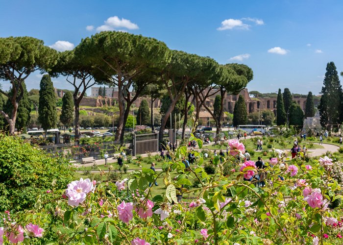 Municipal Rose Garden Roseto Comunale Parks in Rome: the municipal rose garden - Italia.it photo