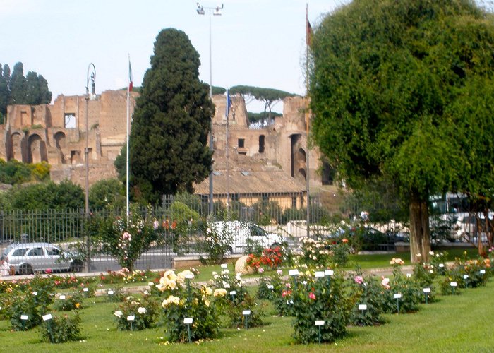 Municipal Rose Garden Roseto Comunale Il roseto comunale di Roma | My Life: Part Two photo