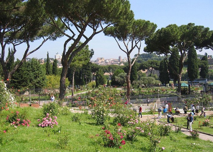 Municipal Rose Garden Roseto Comunale Best Time to See Roses at Roseto Comunale in Rome 2024 - Rove.me photo