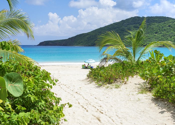 Flamenco Beach (Playa Flamenco) Flamenco Beach Tours - Book Now | Expedia photo