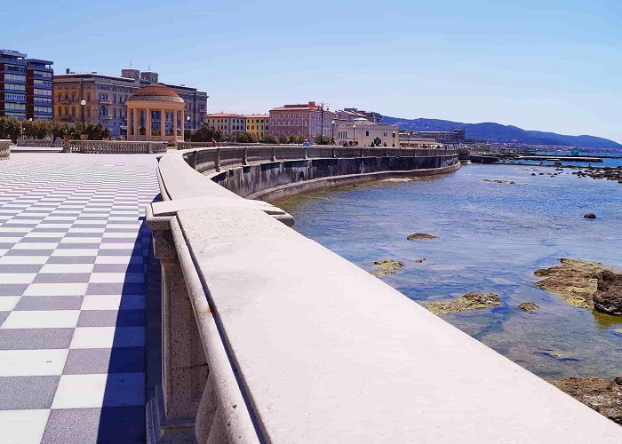 Stazione Livorno Centrale Roma Termini to Livorno Centrale by Fast Train from $16.96 | Check ... photo