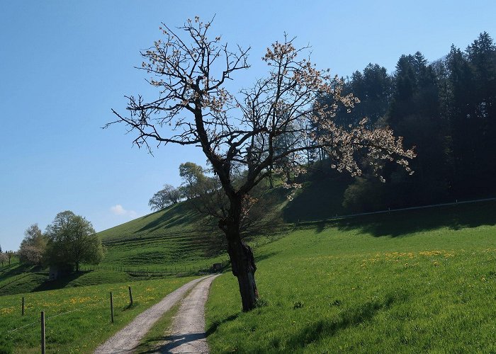 Fondation Abegg 14 Upper Hills Gravel Loop: Schwarzenburg - Riggisberg - BERGFEX ... photo