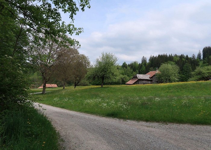 Fondation Abegg 14 Upper Hills Gravel Loop: Schwarzenburg - Riggisberg - BERGFEX ... photo