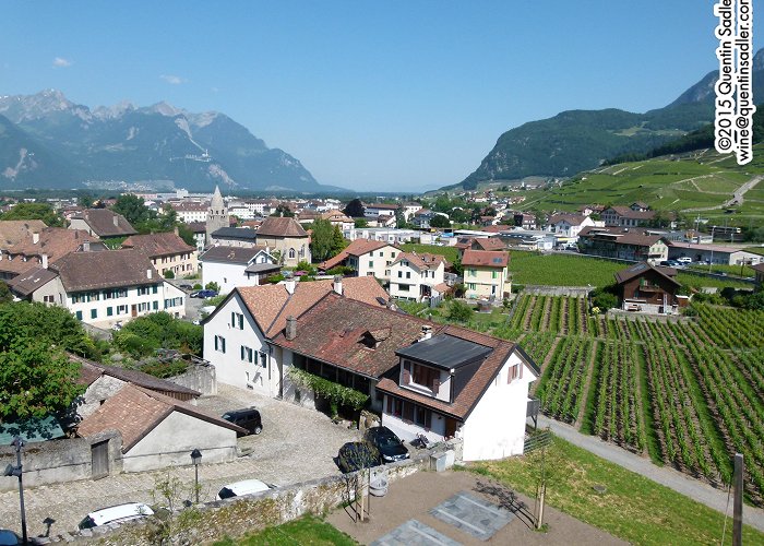 Fondation Hervé Bernard Cavé Vins | Quentin Sadler's Wine Page photo