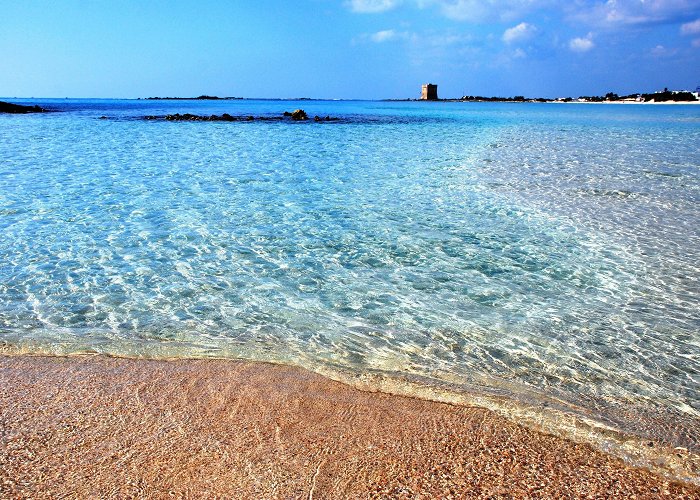 Penisola della Strea Visit Porto Cesareo: 2024 Travel Guide for Porto Cesareo, Puglia ... photo