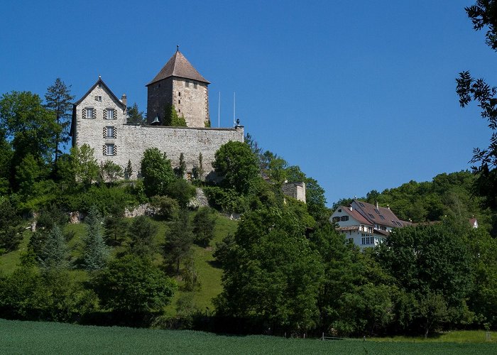 Herblingen Castle A South German or Swiss Neoclassical Carved Grey-Painted and ... photo