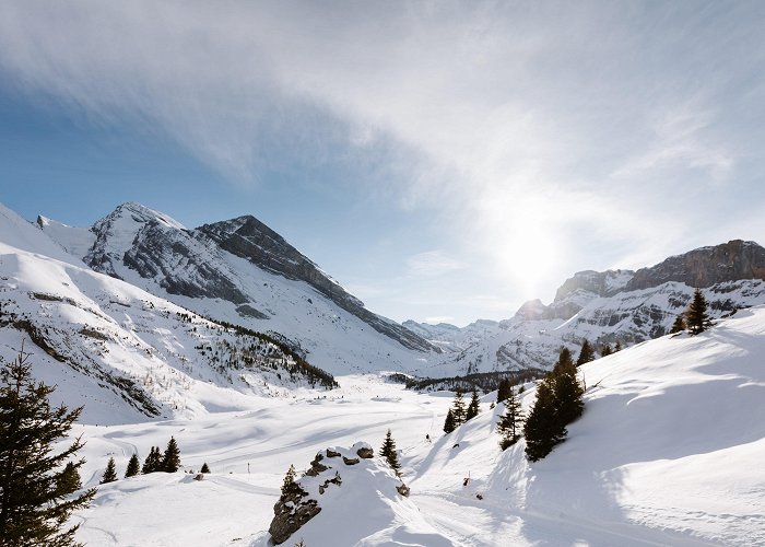 Luftseilbahn Kandersteg-Sunnbuel Kandersteg–Sunnbüel Winter Sports Area - Excursions photo