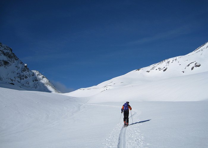 Laucherenstockli Full moon ski tour close to Zurich. 1/2-day trip. IFMGA guide photo