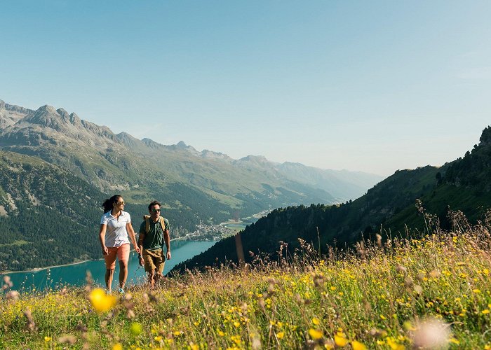 Furtschellas Via Gastronomica: Furtschellas – Val Fex – Sils Maria • Mountain ... photo