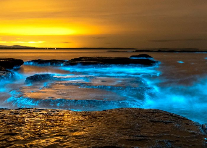 Bioluminescent Bay THE TOP 15 Things To Do in Vieques | Attractions & Activities photo