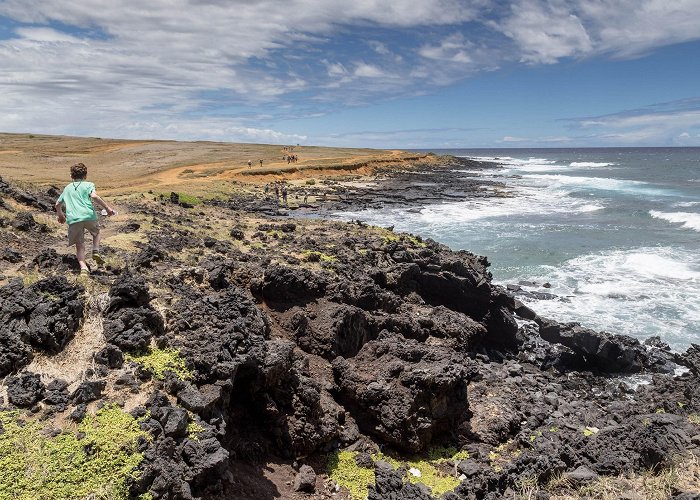 Kula Kai Caverns and Lava Tubes Ka Lae Tours - Book Now | Expedia photo