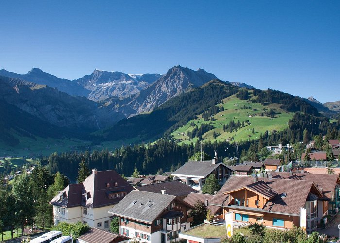 Luegli Susan Waite - Swiss Alps in summer photo