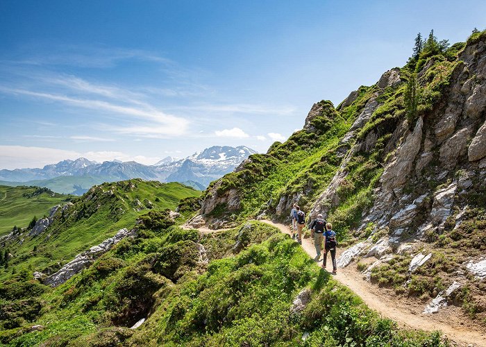 Betelberg High altitude hikes Betelberg Lenk - Excursions by train photo