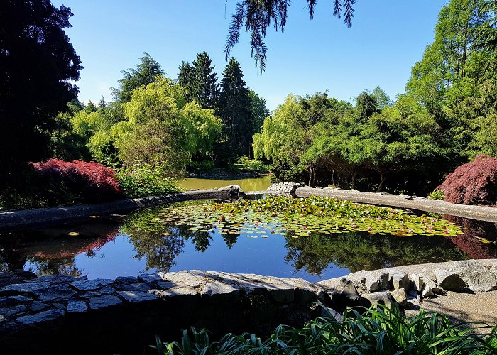 Minoru Park Photo: Beautiful Richmond...serenity at Minoru Park - Richmond News photo