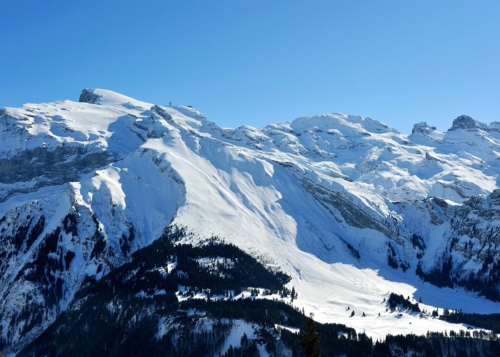 Laubersgrat Freeride Engelberg, Laub | get your local Guide photo