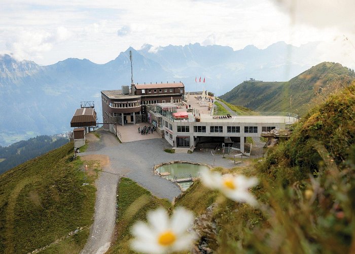 Maschgenkamm Culinary Hike "Flumserberg High Altitude Route" - BERGFEX - Hiking ... photo