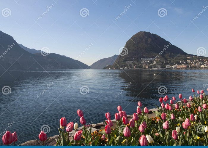 Public Park Parco Ciani 491 Parco Ciani Stock Photos - Free & Royalty-Free Stock Photos ... photo