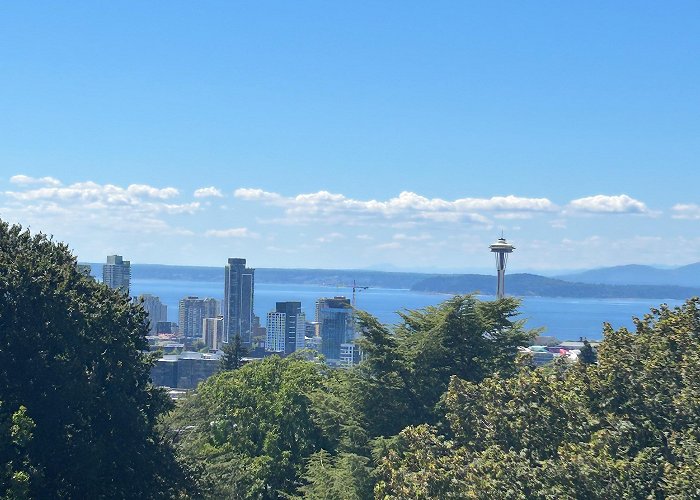 Volunteer Park Water Tower Skyline from Volunteer Park Water Tower : r/Seattle photo