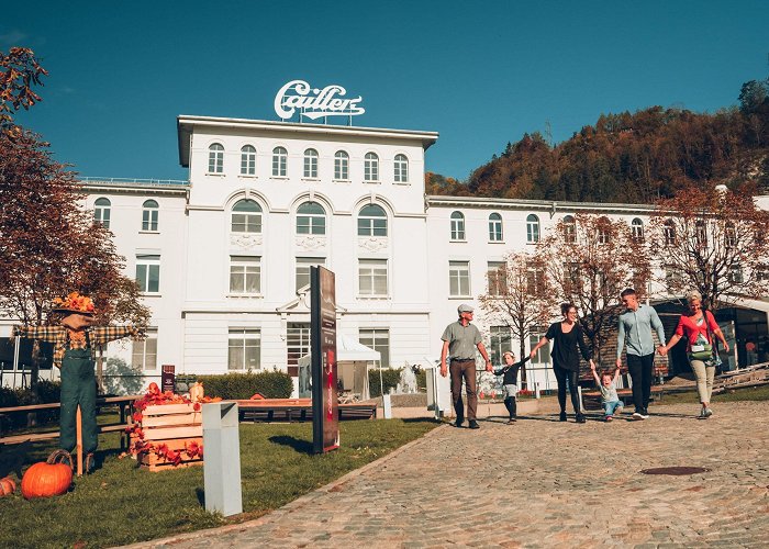 Maison Cailler Swiss Chocolate Factory Maison Cailler | Switzerland Tourism photo